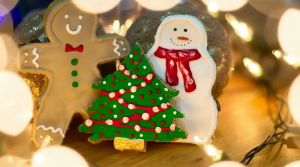 Escolher o destino certo entre os melhores lugares para passar o Natal no Brasil é saber que existem diversas opções para você!
