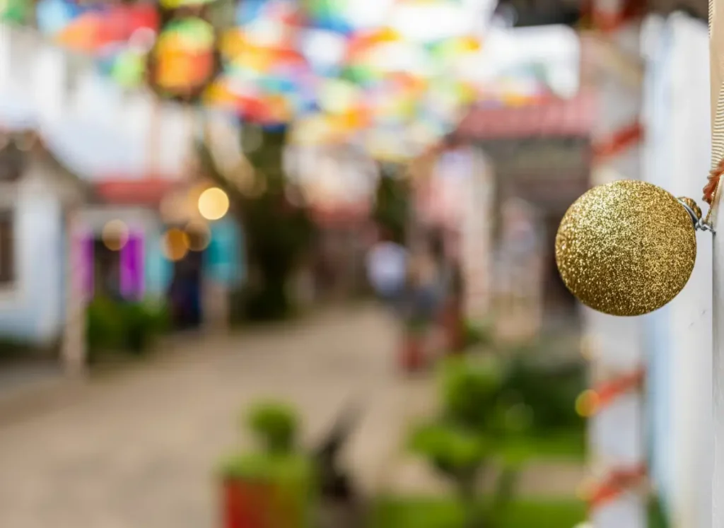A união de tradicionalidade e história vive na cidade de Penedo. Vale a pena conhecer.