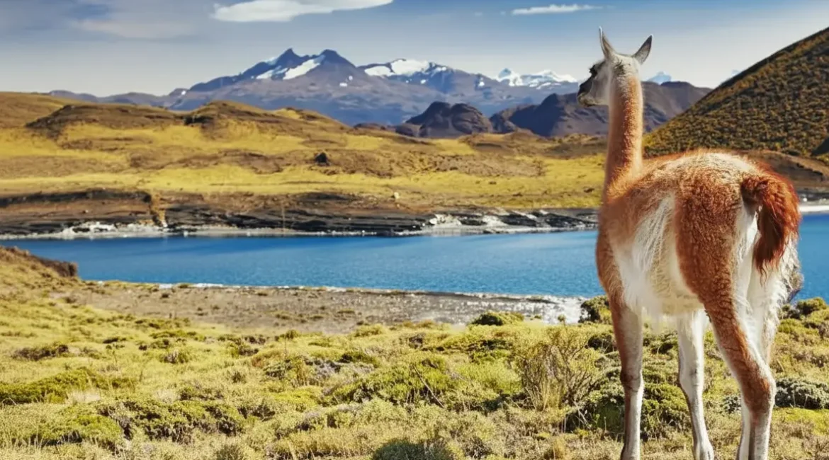 Viaje para o Chile no verão e aproveite ainda mais a cidade!