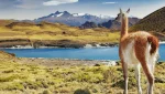Viaje para o Chile no verão e aproveite ainda mais a cidade!