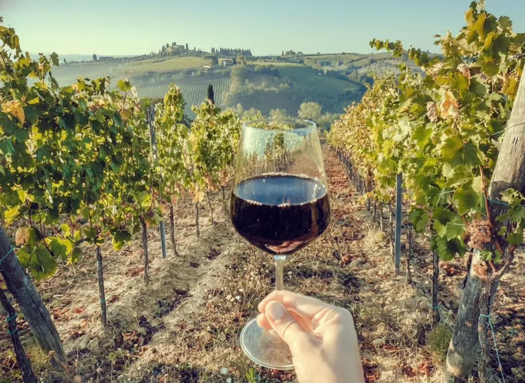 Que tal uma rota de vinhos em outro país? Essa pode ser a proposta para conhecer melhor o Chile no verão