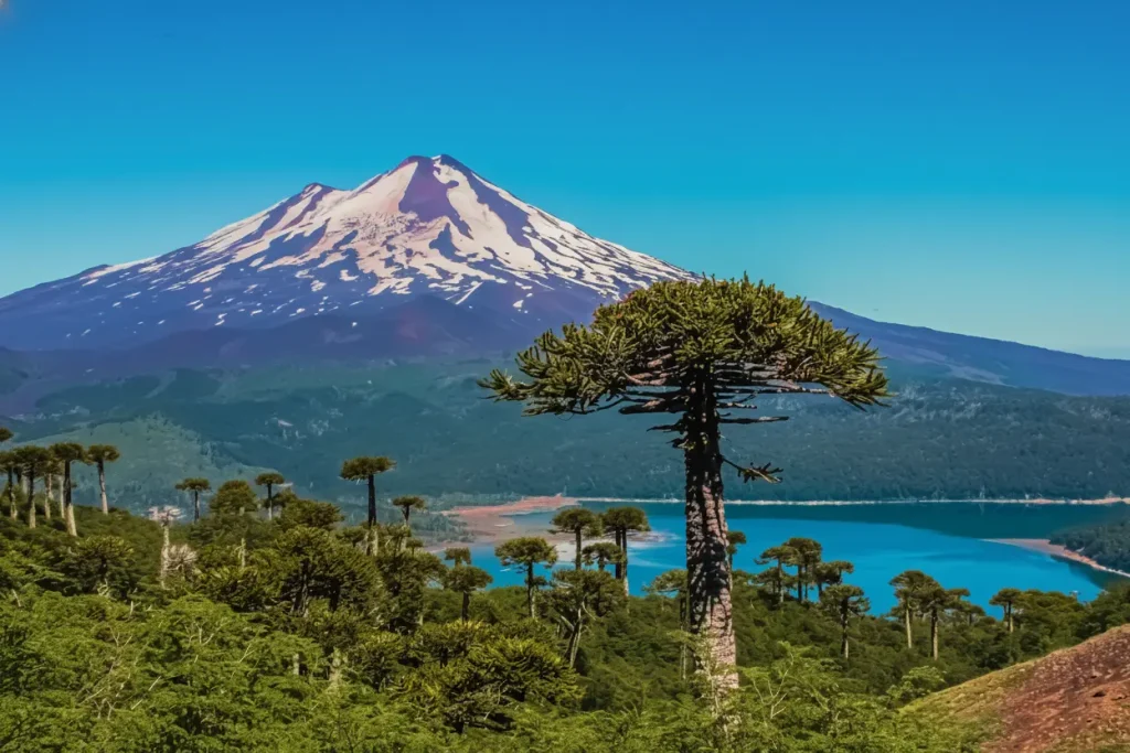 O Chile no verão é um lugar incrível e único!