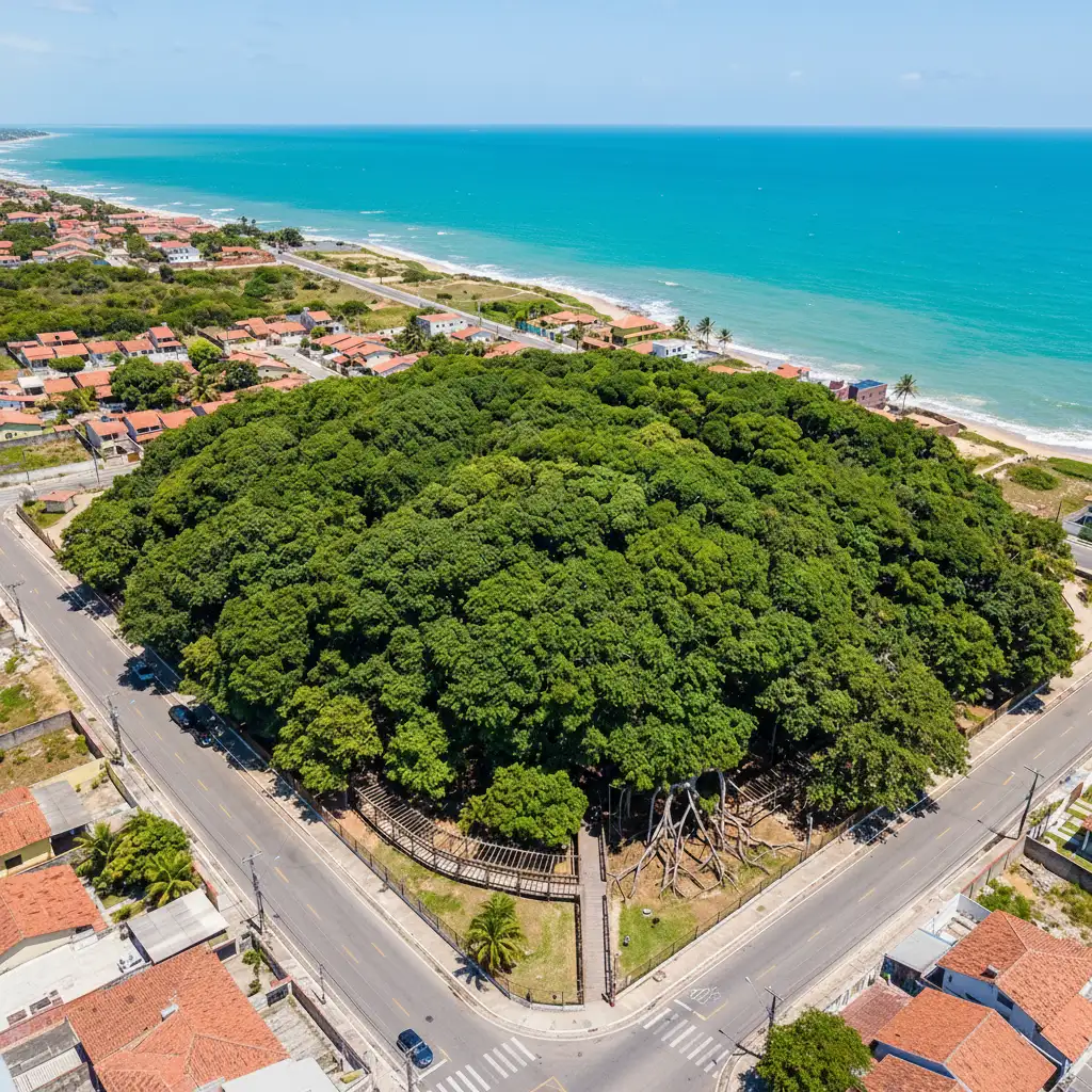Você precisa fazer esse passeio inesquecível para o Maior Cajueiro do Mundo!