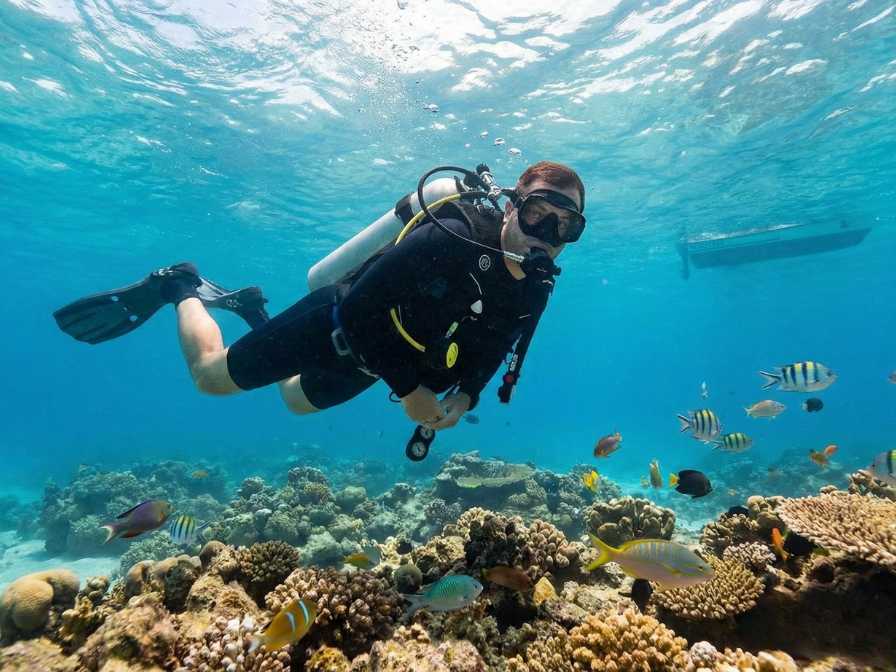 Viva momentos inesquecíveis em Maracajaú, aproveitando cada detalhe que esse Caribe Brasileiro pode proporcionar!
