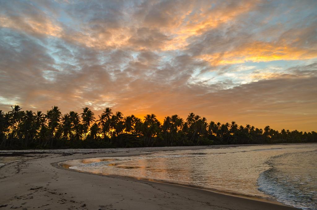 Com praias incríveis, a Ilha de Boipeba pode ser um grande destino para conhecer em 2026.