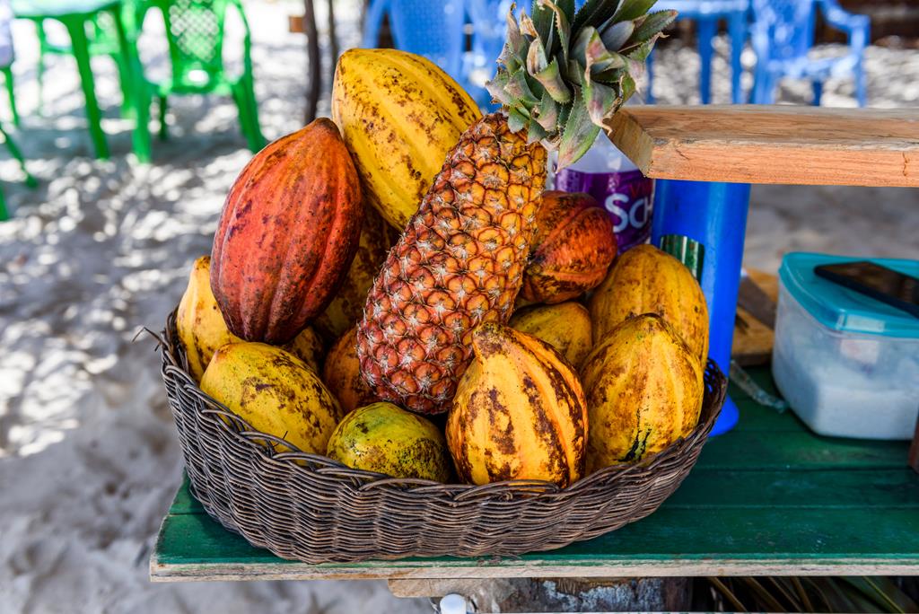 Você vai encontrar uma gastronomia rica na Ilha de Boipeba o que torna a experiência ainda mais completa!