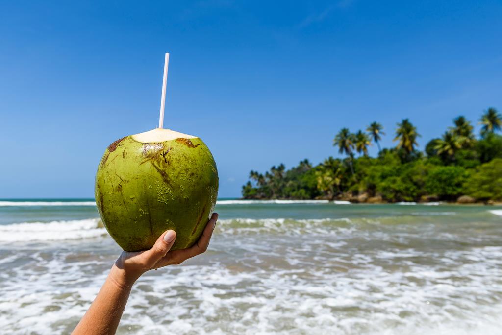A essência de Boipeba mostra o quanto esse lugar pode ser incrível para conhecer!
