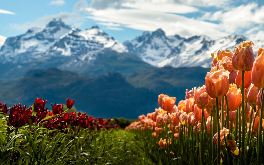 Mesmo em estações de primavera, o lugar traz belezas inimagináveis e que vão fazer você olhar a vida de outra maneira!