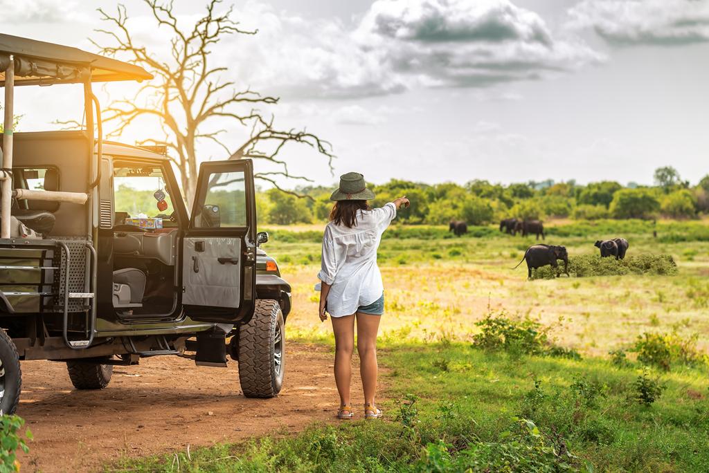 Aproveite as melhores experiências de viagem com a CVC e a Civitatis guiando os passeios mais incríveis!