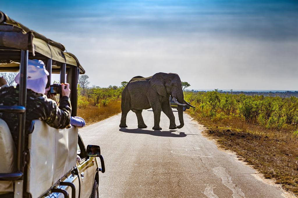 Aproveite as melhores experiências de viagem com a CVC e a Civitatis guiando os passeios mais incríveis!