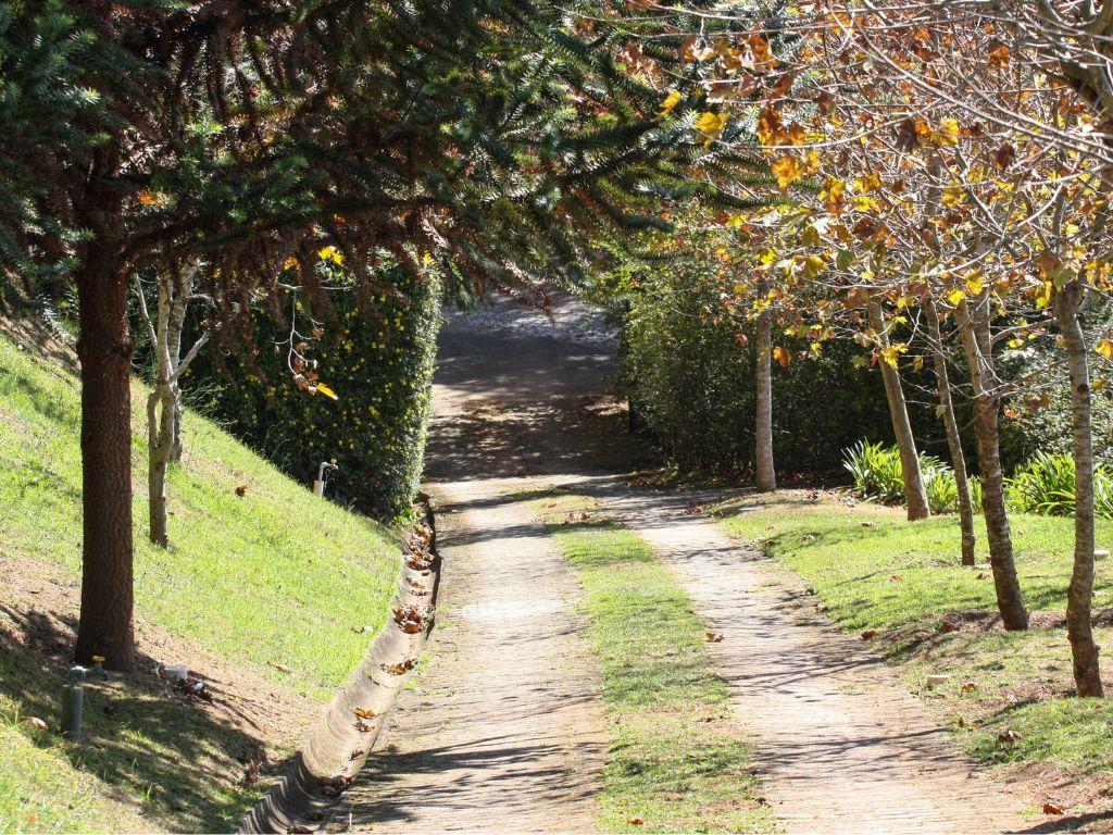 Conheça melhor a Serra da Mantiqueira com dicas maravilhosas de Campos do Jordão para aproveitar essa época do ano.