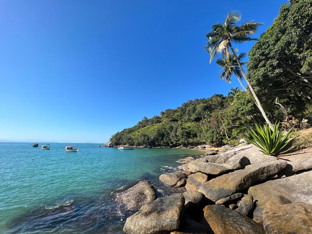 Veja mais sobre a temporada de baleias em Ilhabela e planeje a sua próxima viagem para ver esse fenômeno de perto