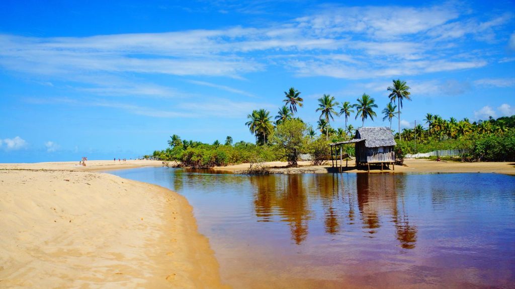 Veja as melhores praias para conhecer no Nordeste e se apaixone pela região!