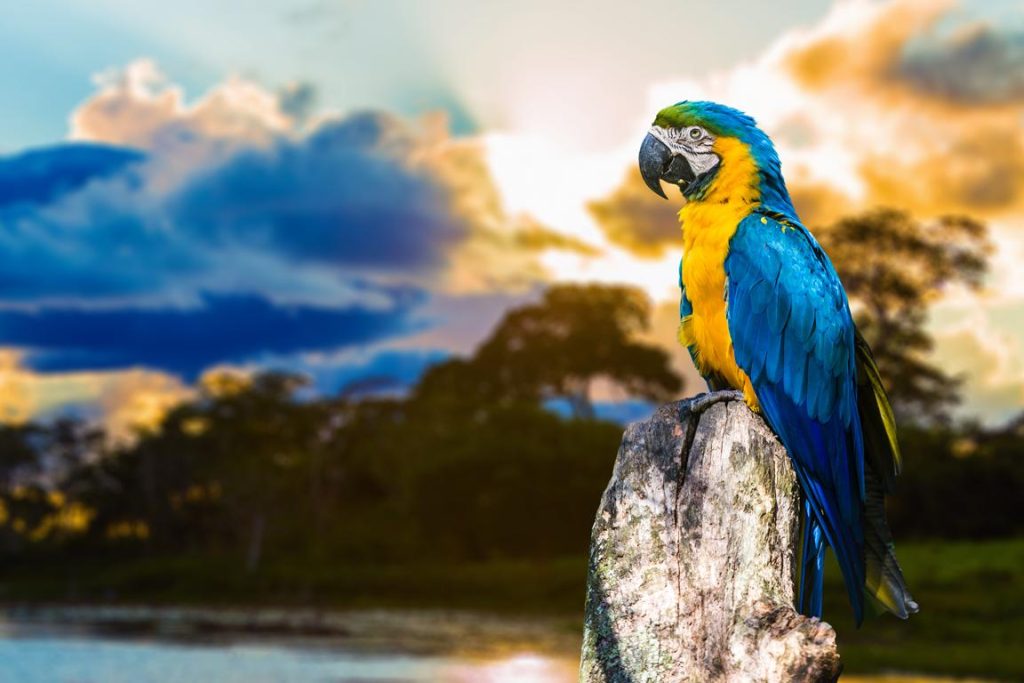 Viagens incríveis que você precisa fazer pelo menos uma vez na vida e ter uma experiência única!
