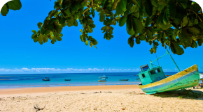 Maceió - AL | 6 dias