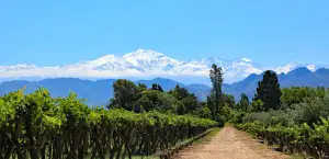Mendoza