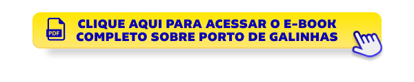  Clique aqui para acessar o e-book completo sobre Porto de Galinhas 