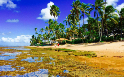 Costa Do Sauípe