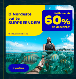 O Nordeste vai te SURPREENDER!  