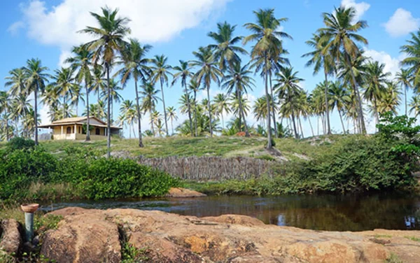 https://www.cvc.com.br/imageproc/image/upload/f_auto,w_600/v1/CVC/lps/LP-Destinos-Bahia/guia-bahia-praia-forte-destinos-cvc-516x323.webp