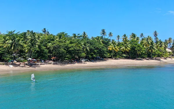 https://www.cvc.com.br/imageproc/image/upload/f_auto,w_600/v1/CVC/lps/LP-Destinos-Bahia/guia-bahia-praia-forte-destinos-cvc-praias.jpg-516x323.webp