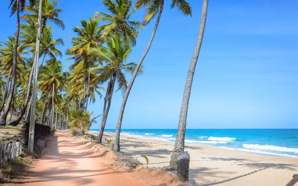 https://www.cvc.com.br/imageproc/image/upload/f_auto,w_600/v1633461268/CVC/destinos/nacional/PB/Paraiba2.webp