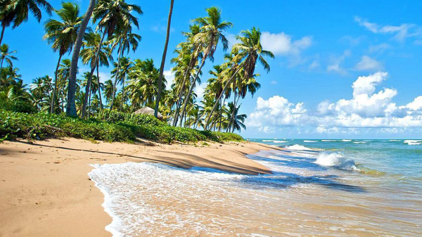 https://www.cvc.com.br/imageproc/image/upload/f_auto,w_600/v1762449685/CVC/destinos/nacional/BA/praia-do-forte-2.jpg