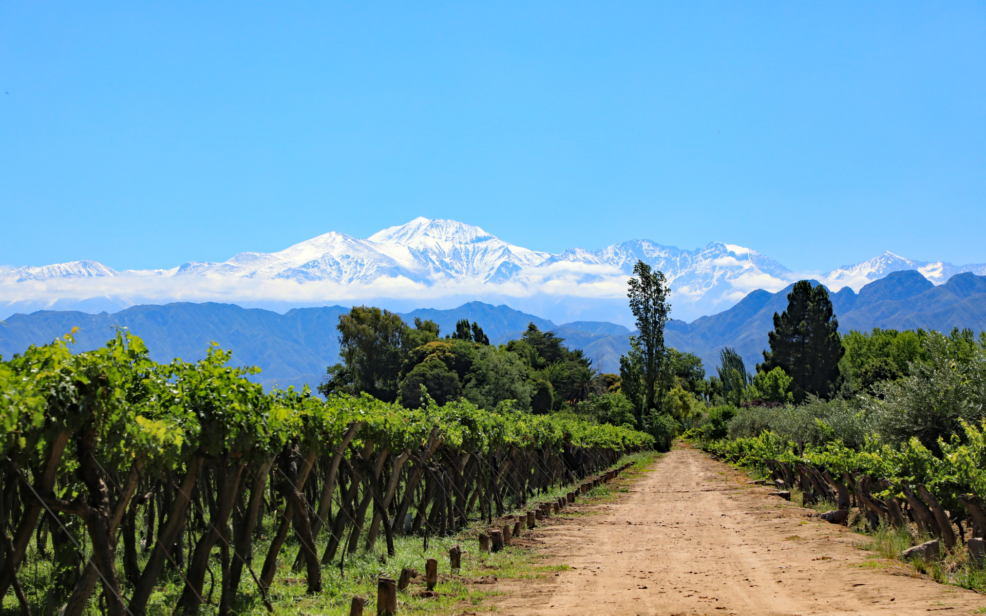 Mendoza