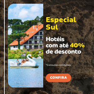 Especial Sul