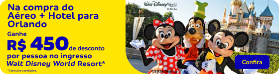 Ingresso Walt Disney World Resort