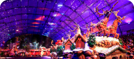 Natal Luz Espetáculo Grande Desfile