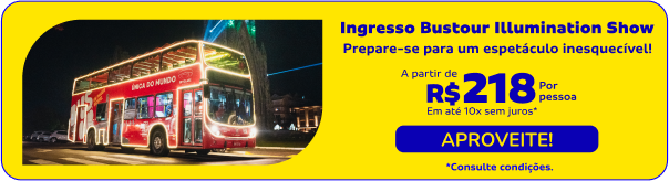 Ingresso Bustour Illumination Show