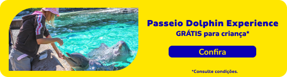 Passeio Dolphin Experience