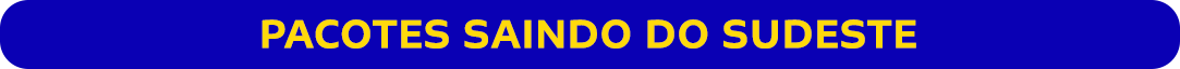  PACOTES SAINDO DO SUDESTE