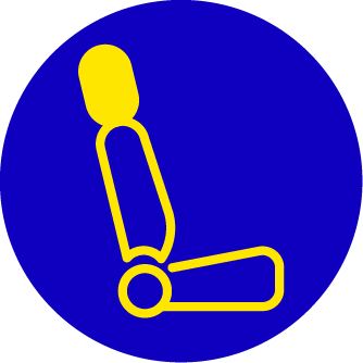 Executivo