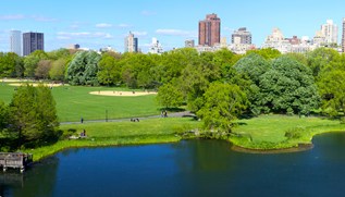 Nova York
