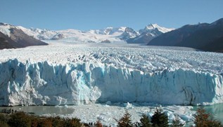 Calafate 