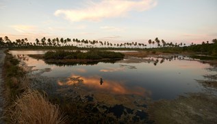 Porto de Galinhas