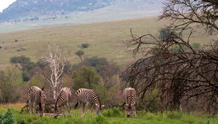 Maravilhas da África do Sul 