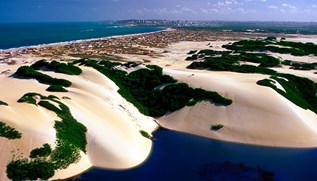 Natal
